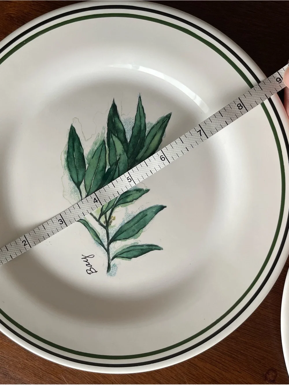 WILLIAMS SONOMA Portugal HERBS SALAD PLATES set of 4 Bay Thyme Cayenne Tarragon